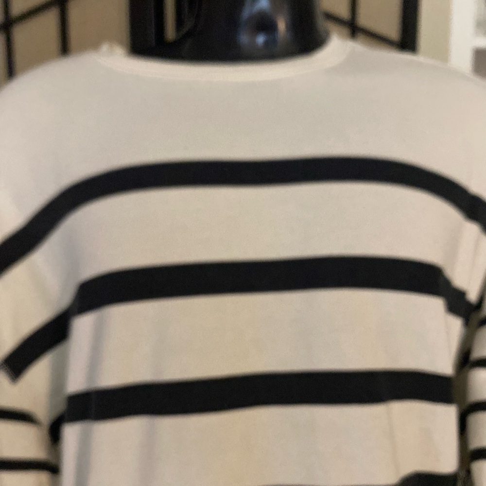 White Crow Cream Crewneck Sweatshirt